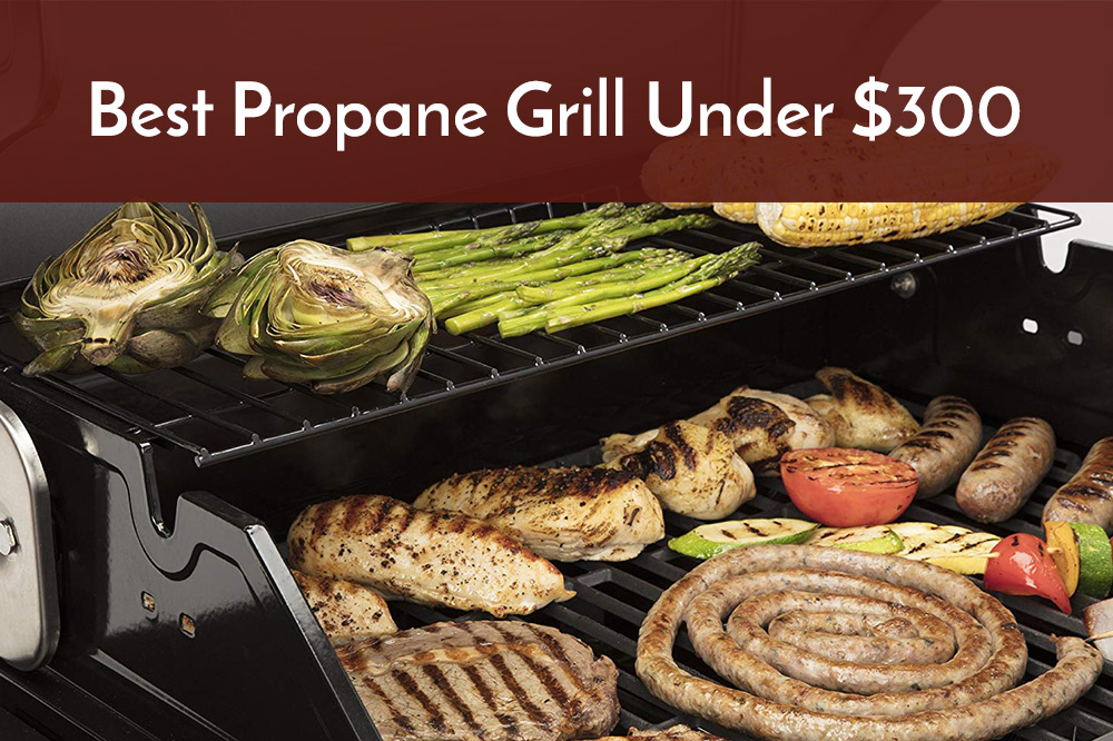 best propane grill under 300